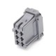 BodyBuilder Plug image